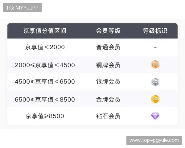 完美视讯网站会员制度详解,享受高清无广告观看和专属内容的优质服务体验